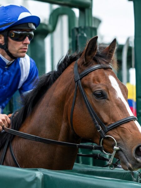 Each-Way Betting Explained in Horse Racing