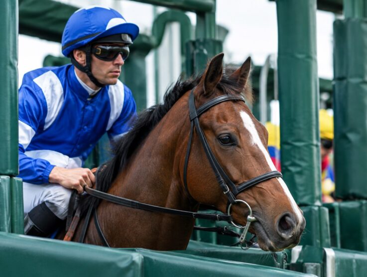 Each-Way Betting Explained in Horse Racing