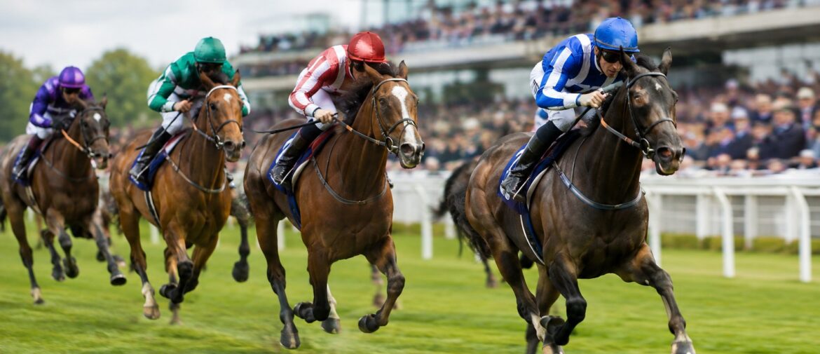 Horse Racing Betting Explained – How It Works Worldwide