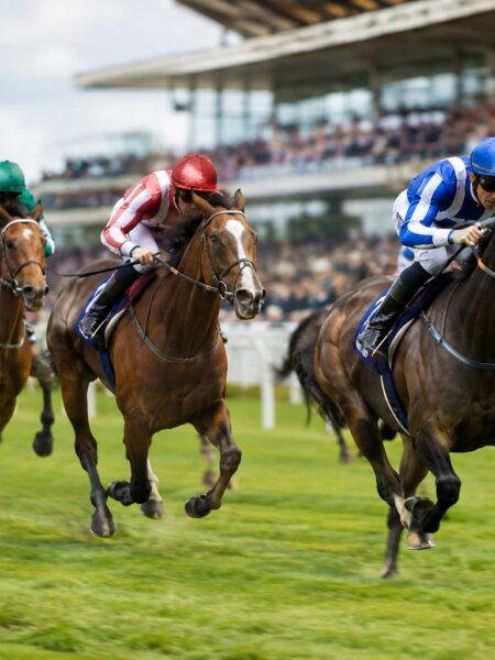 Horse Racing Betting Explained – How It Works Worldwide