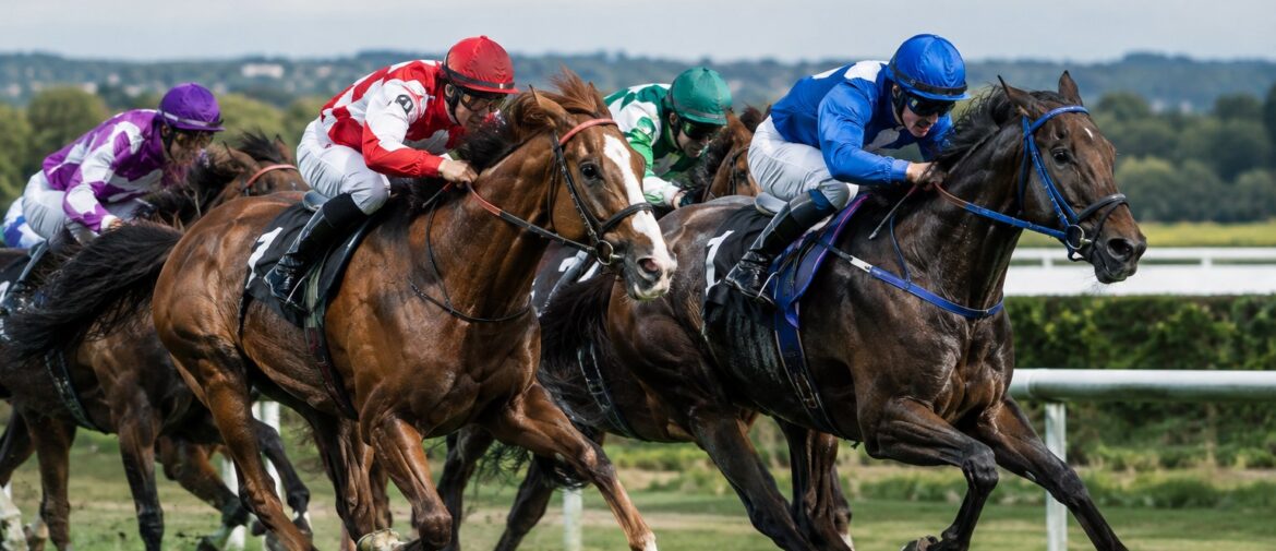 Types of Horse Racing Bets Explained – Win, Place, Each-Way & More