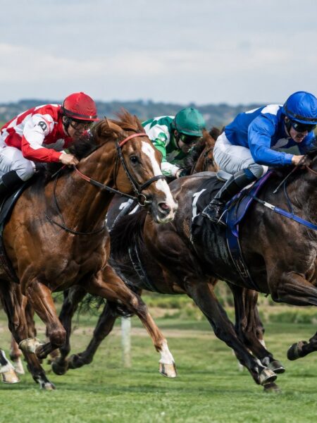Types of Horse Racing Bets Explained – Win, Place, Each-Way & More