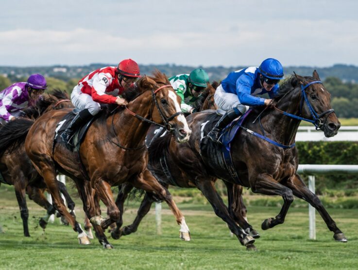 Types of Horse Racing Bets Explained – Win, Place, Each-Way & More